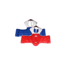 Plastron
