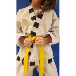 Dobok supérieur